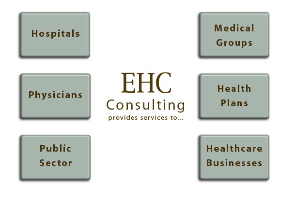 Executive Health Consulting - Clients